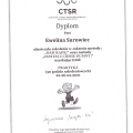 Powiększ obraz: certificate 3