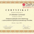 Powiększ obraz: certificate 21
