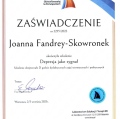 Powiększ obraz: certificate 8