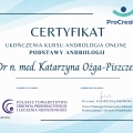 Powiększ obraz: certificate 8