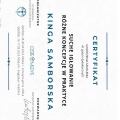 Powiększ obraz: certificate 2