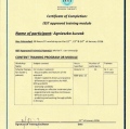 Powiększ obraz: certificate 6