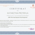 Powiększ obraz: certificate 5
