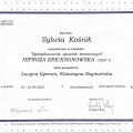 Powiększ obraz: certificate 4
