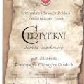 Powiększ obraz: certificate 11