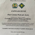 Powiększ obraz: certificate 2