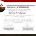 Powiększ obraz: certificate 6