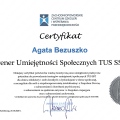 Powiększ obraz: certificate 3