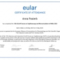 Powiększ obraz: certificate 2