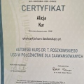 Powiększ obraz: certificate 6
