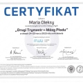 Powiększ obraz: certificate 6
