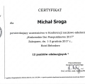 Powiększ obraz: certificate 1