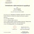 Powiększ obraz: certificate 11