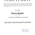 Powiększ obraz: certificate 2
