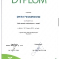 Powiększ obraz: certificate 5