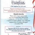 Powiększ obraz: certificate 11
