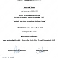 Powiększ obraz: certificate 4