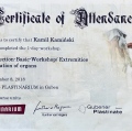 Powiększ obraz: certificate 5