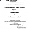 Powiększ obraz: certificate 2