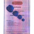 Powiększ obraz: certificate 7