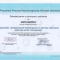 Powiększ obraz: certificate 2