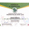 Powiększ obraz: certificate 8