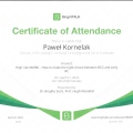 Powiększ obraz: certificate 4