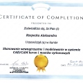 Powiększ obraz: certificate 5