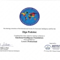 Powiększ obraz: certificate 15