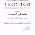 Powiększ obraz: certificate 1