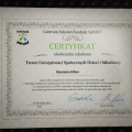 Powiększ obraz: certificate 12