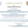 Powiększ obraz: certificate 7