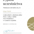 Powiększ obraz: certificate 8