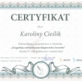 Powiększ obraz: certificate 6