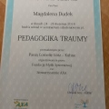 Powiększ obraz: certificate 8