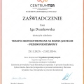 Powiększ obraz: certificate 1