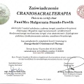 Powiększ obraz: certificate 21