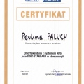 Powiększ obraz: certificate 11