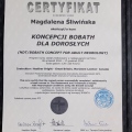 Powiększ obraz: certificate 3