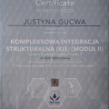 Powiększ obraz: certificate 12