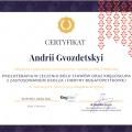 Powiększ obraz: certificate 7