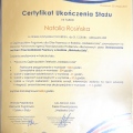 Powiększ obraz: certificate 2
