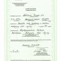 Powiększ obraz: certificate 28