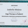 Powiększ obraz: certificate 4
