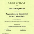 Powiększ obraz: certificate 6
