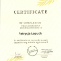 Powiększ obraz: certificate 7
