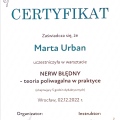 Powiększ obraz: certificate 24