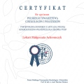 Powiększ obraz: certificate 3