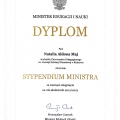 Powiększ obraz: certificate 1