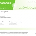 Powiększ obraz: certificate 9